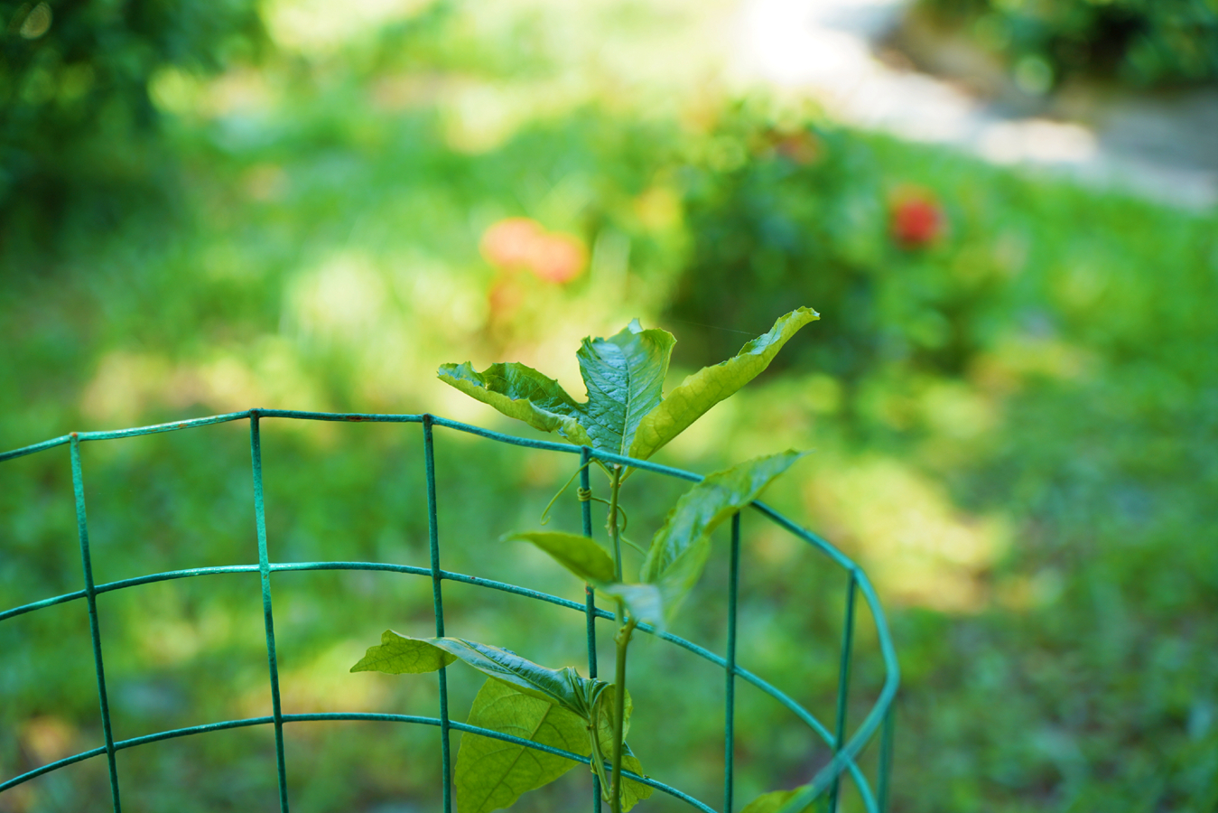 博猫游戏·(中国)官网登录入口