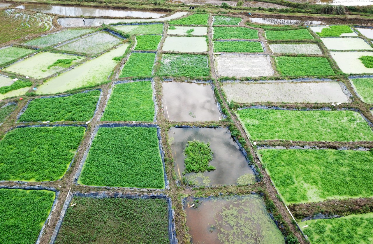 博猫游戏·(中国)官网登录入口